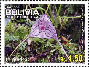 Colnect-1825-809-Masdevallia-yungasensis.jpg