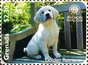 Colnect-5983-192-Golden-Retriever-Canis-lupus-familiaris.jpg