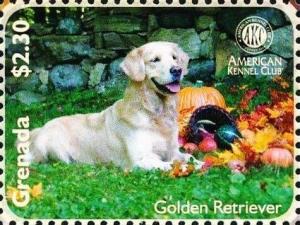 Colnect-5983-193-Golden-Retriever-Canis-lupus-familiaris.jpg