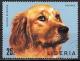 Colnect-1247-878-Golden-Retriever-Canis-lupus-familiaris.jpg