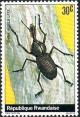 Colnect-2396-423-Weevil-Rhina-afzelii.jpg