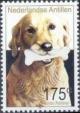 Colnect-965-376-Golden-Retriever-Canis-lupus-familiaris.jpg