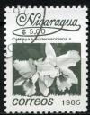 Colnect-1510-870-Cattleya-lueddemanniana-x.jpg