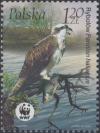 Colnect-4848-714-Osprey-Pandion-haliaetus.jpg