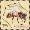 Colnect-6111-814-Carniolan-Honey-Bee-Apis-mellifera-carnica.jpg