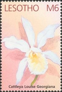 Colnect-1618-178-Cattleya-Louise-Georgiana.jpg