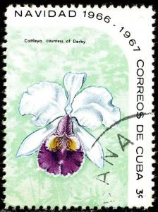 Colnect-1487-824-Cattleya-countess-of-Derby.jpg