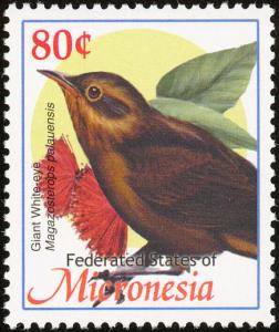 Colnect-1620-592-Giant-White-eye-Megazosterops-palauensis.jpg