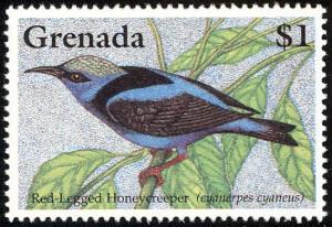 Colnect-4569-510-Red-legged-Honeycreeper----Cyanerpes-cyaneus.jpg