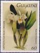 Colnect-3894-481-Cattleya-eldorado-crocata.jpg