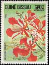 Colnect-1167-350-Flame-Tree-Delonix-regia.jpg