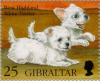 Colnect-120-793-West-Highland-White-Terrier-Canis-lupus-familiaris.jpg