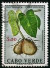 Colnect-1318-910-Purple-Yam-Dioscorea-alata.jpg