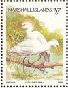 Colnect-1599-567-Cattle-Egret-Bubulcus-ibis.jpg