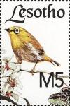 Colnect-1736-283-Oriental-White-eye%C2%A0Zosterops-palpebrosus.jpg