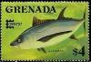 Colnect-1916-147-Albacore-Tuna-Thunnus-alalunga.jpg