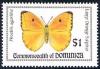 Colnect-2167-732-Large-Orange-Sulphur-Phoebis-agariste.jpg