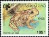 Colnect-2259-437-Cane-Toad-Bufo-marinus.jpg