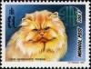 Colnect-2480-455-Long-haired-White-Persian-Felis-silvestris-catus.jpg