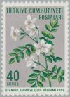 Colnect-2576-439-Jasmine-Jasminum-officinale.jpg