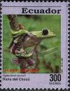 Colnect-2907-544-Gliding-Tree-Frog-Agalychnis-spurelli.jpg