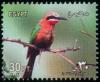 Colnect-4475-834-Carmine-Bee-eater-Merops-nubicoides.jpg