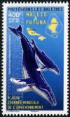 Colnect-4484-744-Humpback-Whale-Megaptera-novaeangliae-Map.jpg