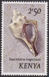 Colnect-4503-090-Trapezium-Horse-Conch-Fasciolaria-trapezium.jpg