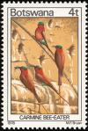 Colnect-597-722-Carmine-Bee-eater-Merops-nubicoides.jpg