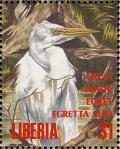 Colnect-1641-786-Intermediate-Egret-Egretta-intermedia.jpg