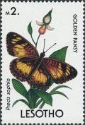 Colnect-1736-290-Little-Pansy-Precis-sophia.jpg