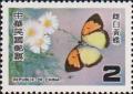 Colnect-3025-275-Yellow-Orange-Tip-Ixias-pyrene-insignis-.jpg