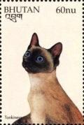 Colnect-3405-131-Tonkinese-Felis-silvestris-catus.jpg