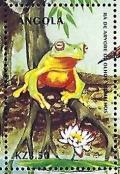 Colnect-5194-111-Red-eyed-Tree-Frog-Agalychnis-callidryas.jpg