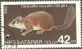 Colnect-615-566-Edible-Dormouse-Glis-glis.jpg