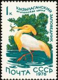 Colnect-729-146-Eastern-Cattle-Egret-Bubulcus-coromandus.jpg