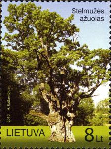 Colnect-4554-169-The-Oak-of-Stelmuze.jpg