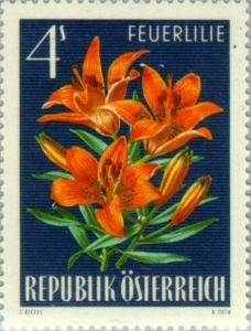 Colnect-136-603-Fire-Orange-Lily-Lilium-bulbiferum.jpg