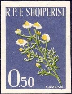 Colnect-2302-668-Chamomile-Matricaria-chamomilla.jpg