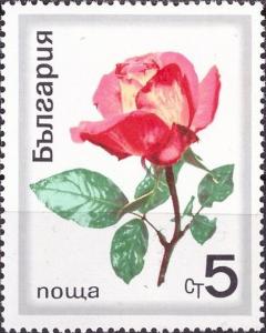 Colnect-3672-587-Noble-Rose-Rosa-hybrida.jpg