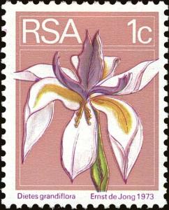 Colnect-4030-415-Large-white-iris-Dietes-grandiflora.jpg