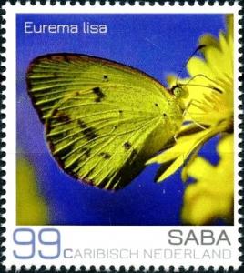 Colnect-4092-960-Little-Sulphur-Eurema-lisa.jpg