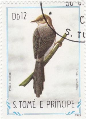 Colnect-1116-334-Sao-Tome-Prinia-Prinia-molleri.jpg