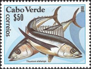 Colnect-1124-844-Albacore-Tuna-Thunnus-alalunga.jpg