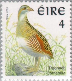 Colnect-129-420-Corncrake-or-Landrail-Crex-crex.jpg