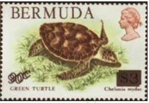 Colnect-1338-794-Green-Sea-Turtle-Chelonia-mydas---Overprinted.jpg