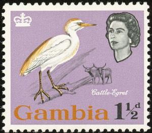 Colnect-1462-542-Cattle-Egret-Bubulcus-ibis.jpg