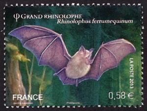 Colnect-1551-762-Greater-Horseshoe-Bat-Rhinolophus-ferrumequinum.jpg