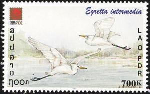 Colnect-1614-706-Intermediate-Egret-Egretta-intermedia-.jpg