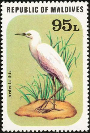 Colnect-1631-847-Cattle-Egret-Ardeola-ibis.jpg